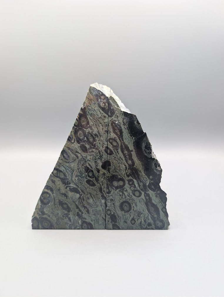 Kambaba Jasper Bookends