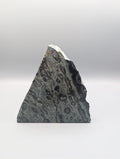 Kambaba Jasper Bookends