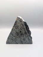 Kambaba Jasper Bookends