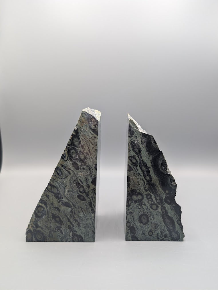 Kambaba Jasper Bookends