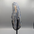 Blue Kyanite Stand 1.58kg