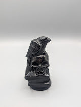 Obsidian Raven on Skull