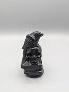 Obsidian Raven on Skull