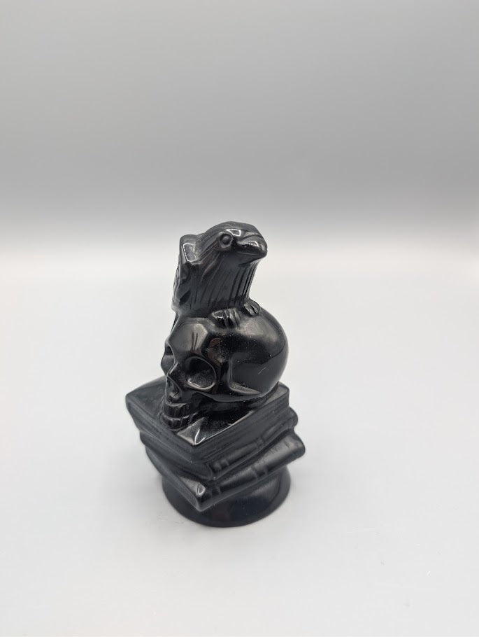 Obsidian Raven on Skull