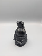 Obsidian Raven on Skull