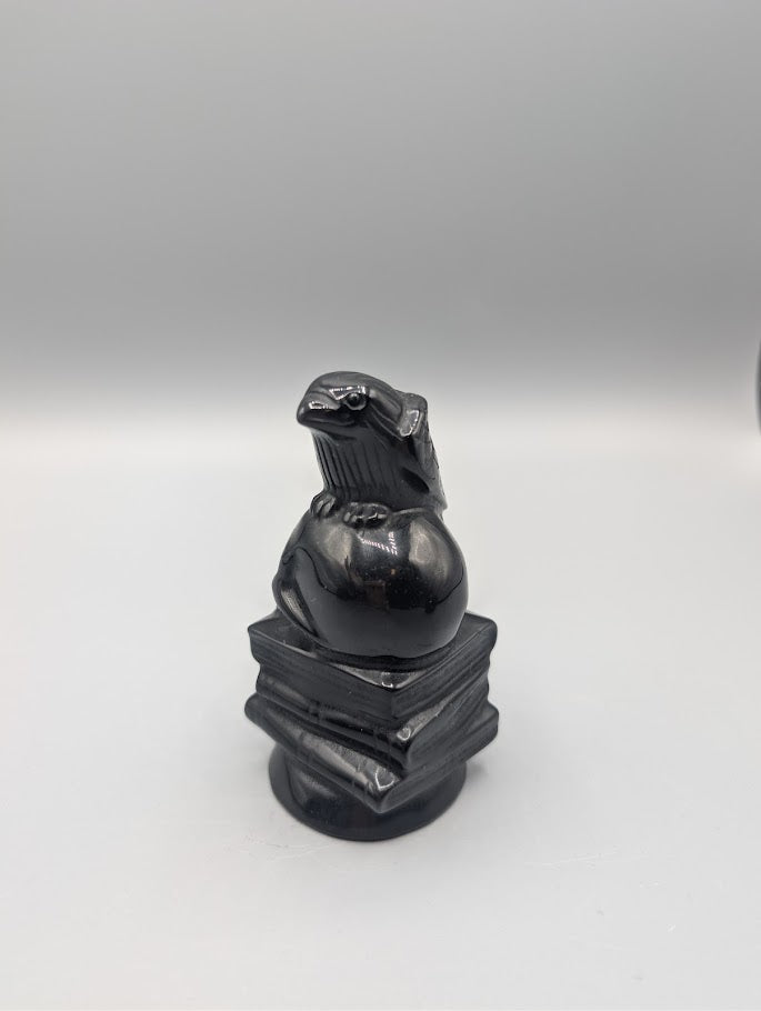 Obsidian Raven on Skull