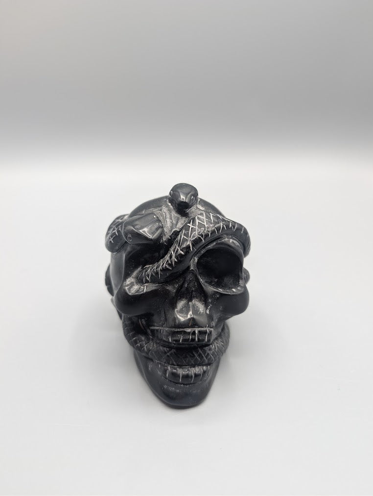 Skull with Snake Carving