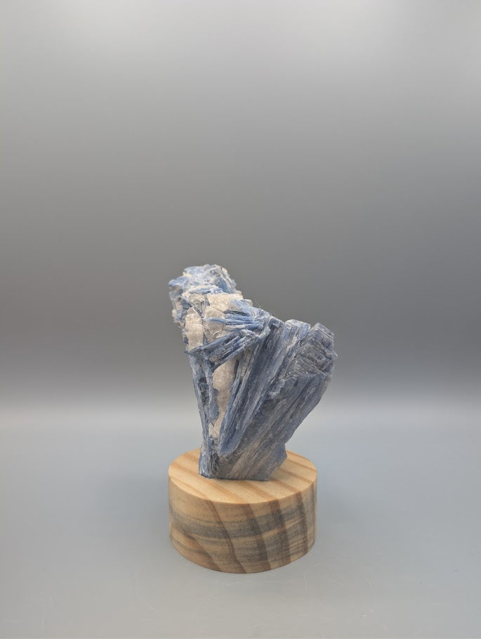 Blue Kyanite Stand 0.913kg