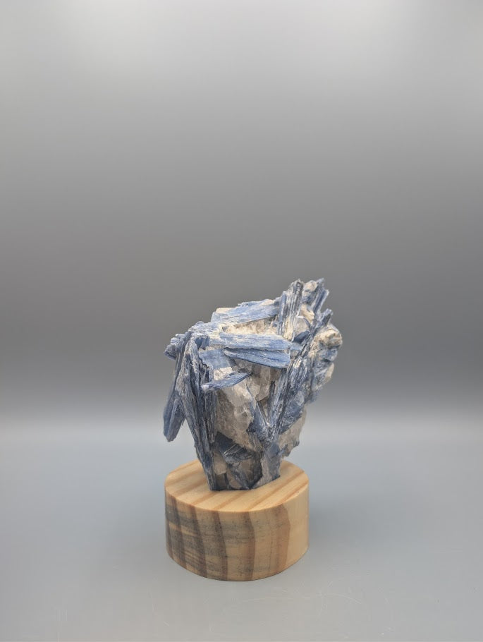 Blue Kyanite Stand 0.913kg