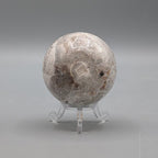 Mexican Crazy Lace Agate Sphere