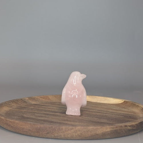 Penguin Carving
