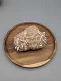Desert Rose - Large
