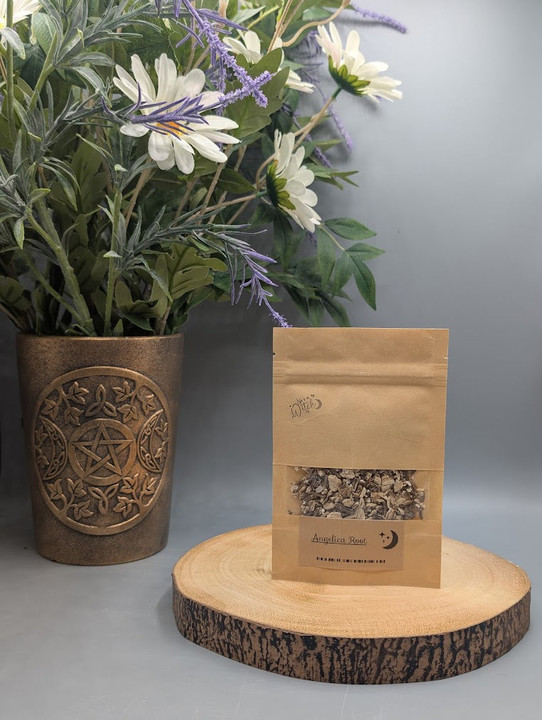 Angelica Root