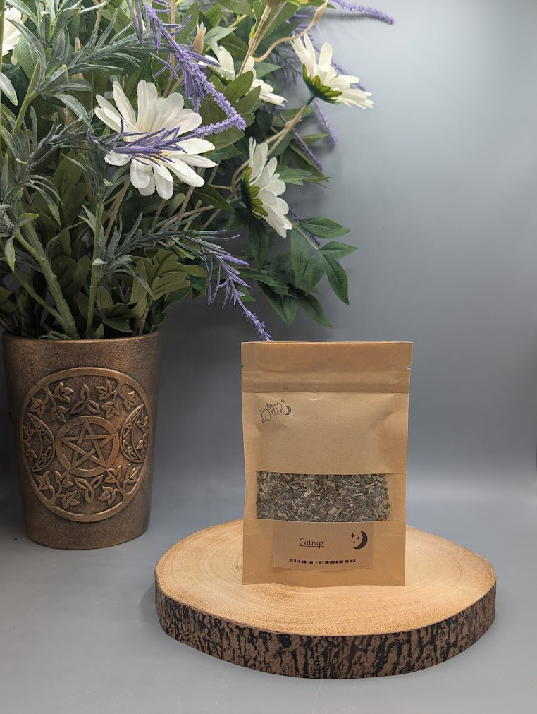Catnip