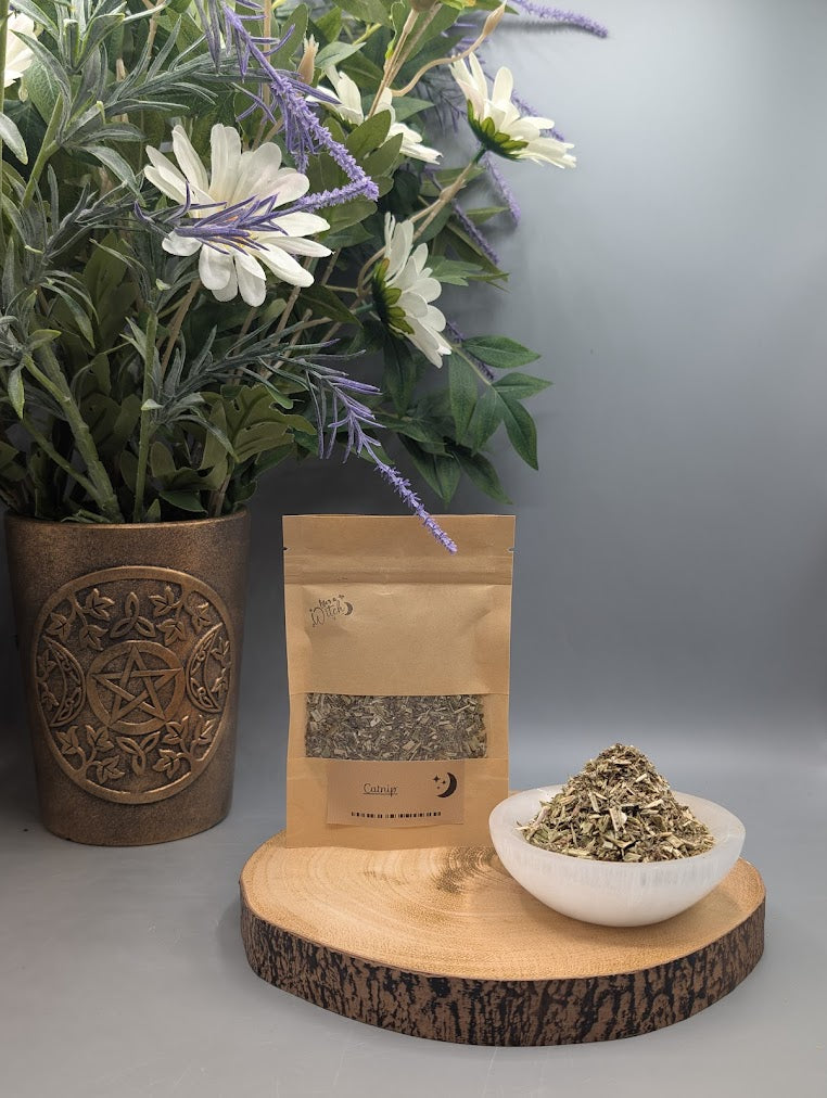 Catnip