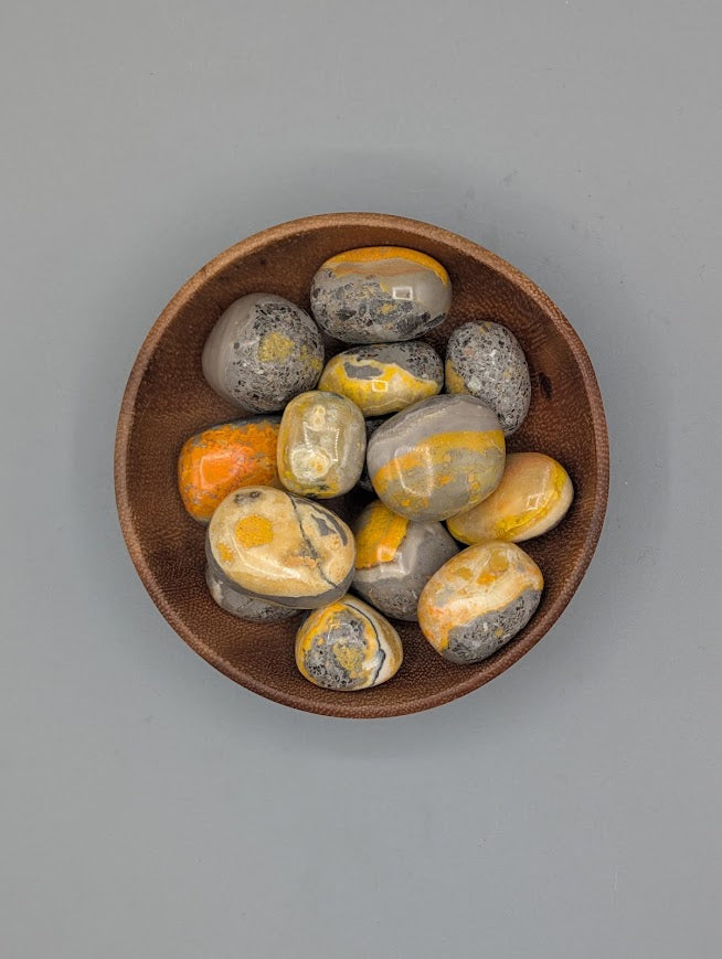 Bumblebee Jasper Tumble