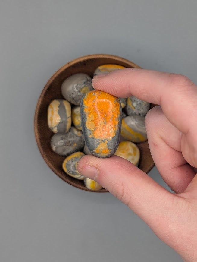 Bumblebee Jasper Tumble