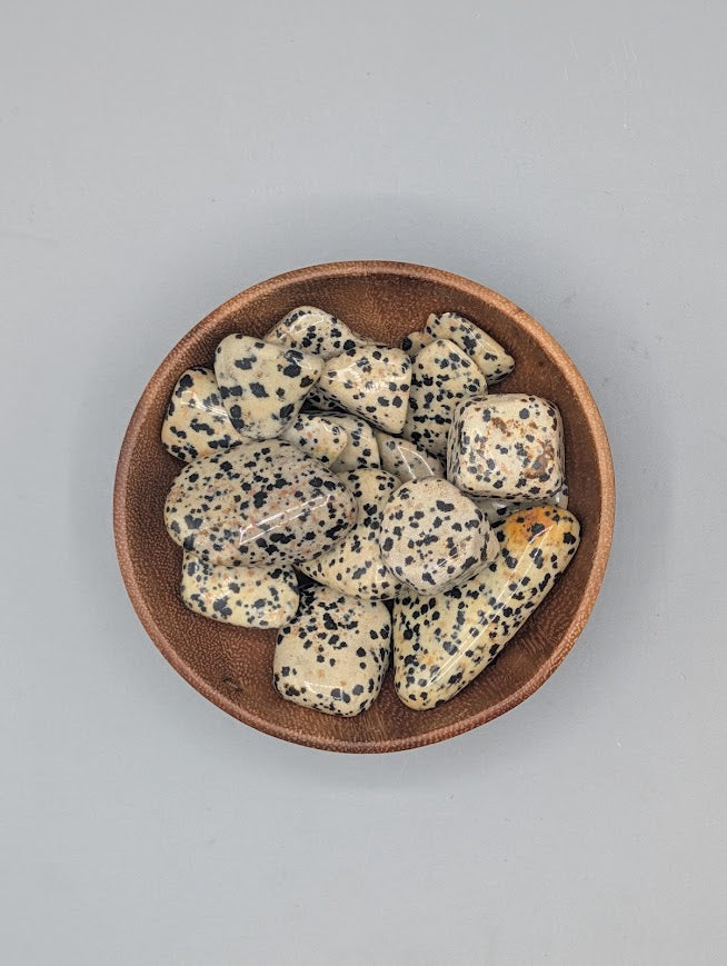 Dalmatian Jasper Tumble