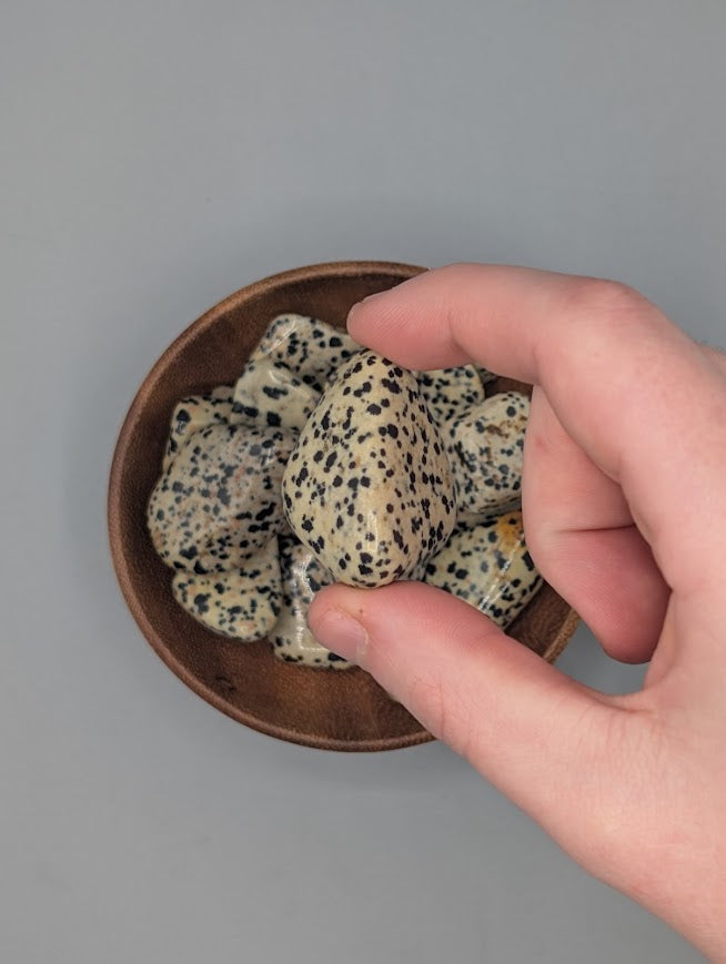 Dalmatian Jasper Tumble