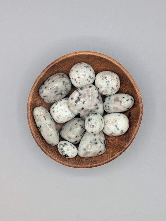 Kiwi Jasper Tumble