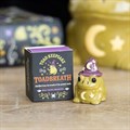 Magic Toad Keepsake