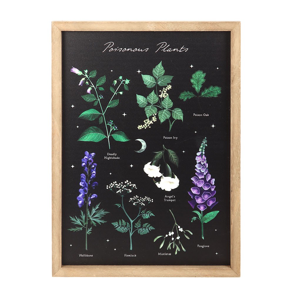 Poisonous Plants Framed Wall Art Print