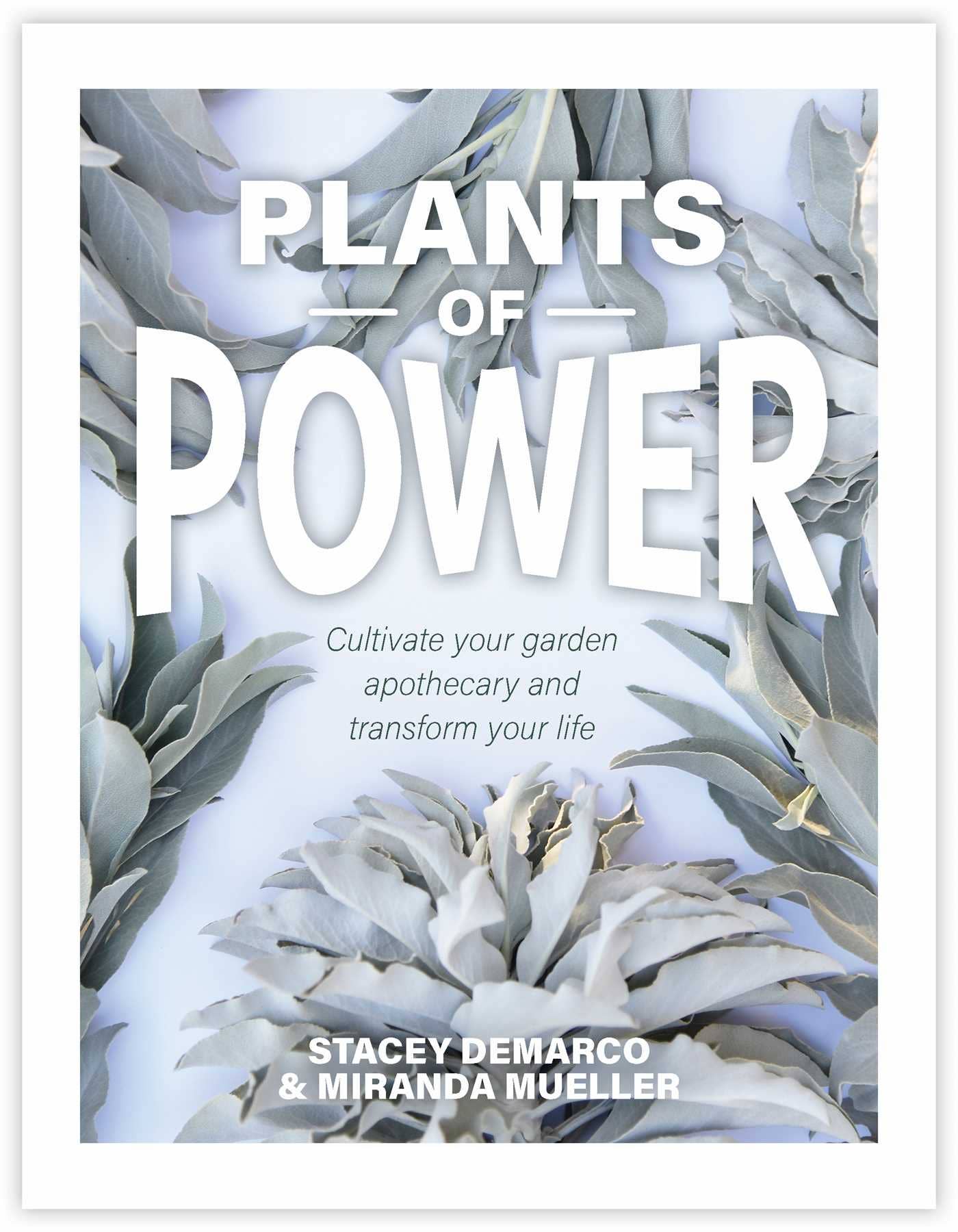 Plants of Power by Stacey Demarco & Miranda Mueller