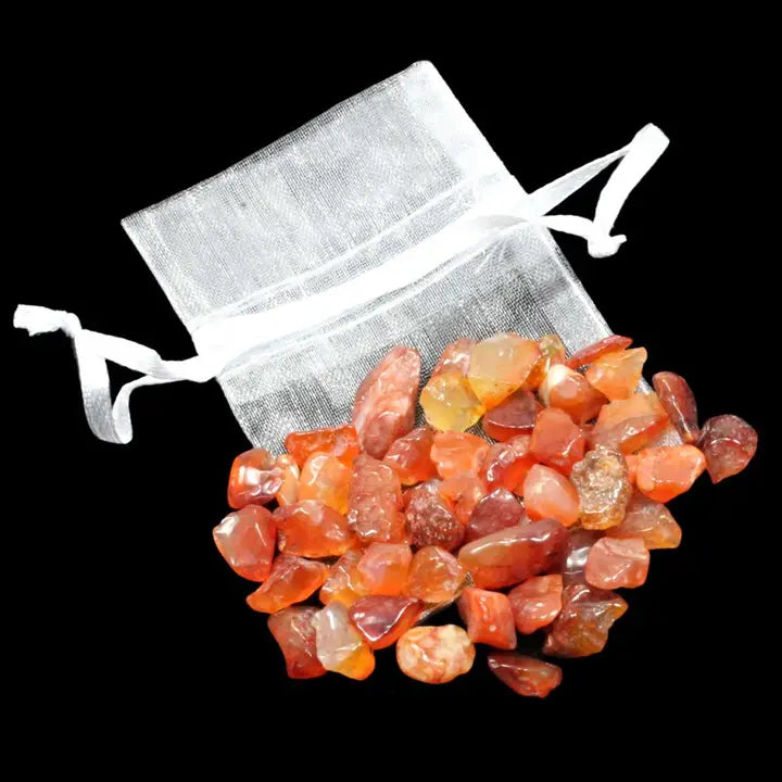 Chip Bag (20g)
