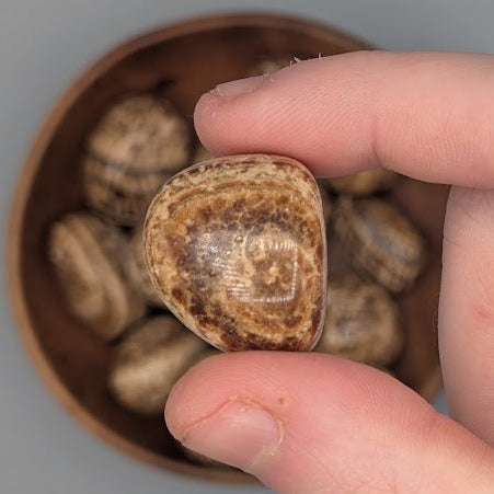 Hand holding a single aragonite tumble with full wooden bowl of the same crystal in background