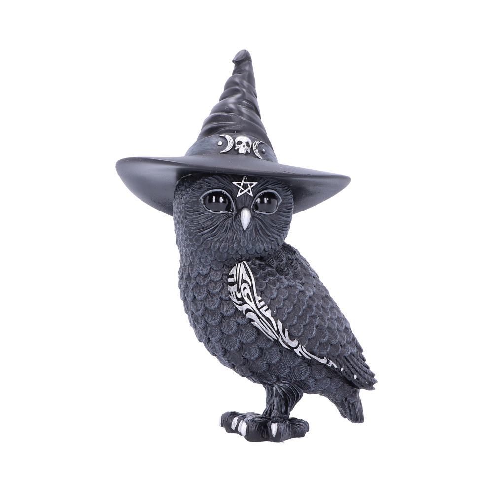 Owlocen