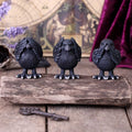 Three wise ravens