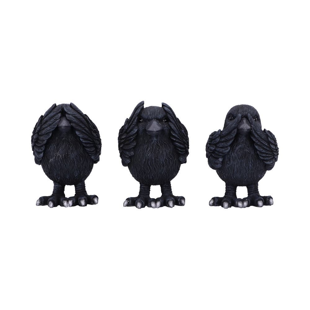 Three wise ravens
