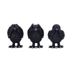 Three wise ravens