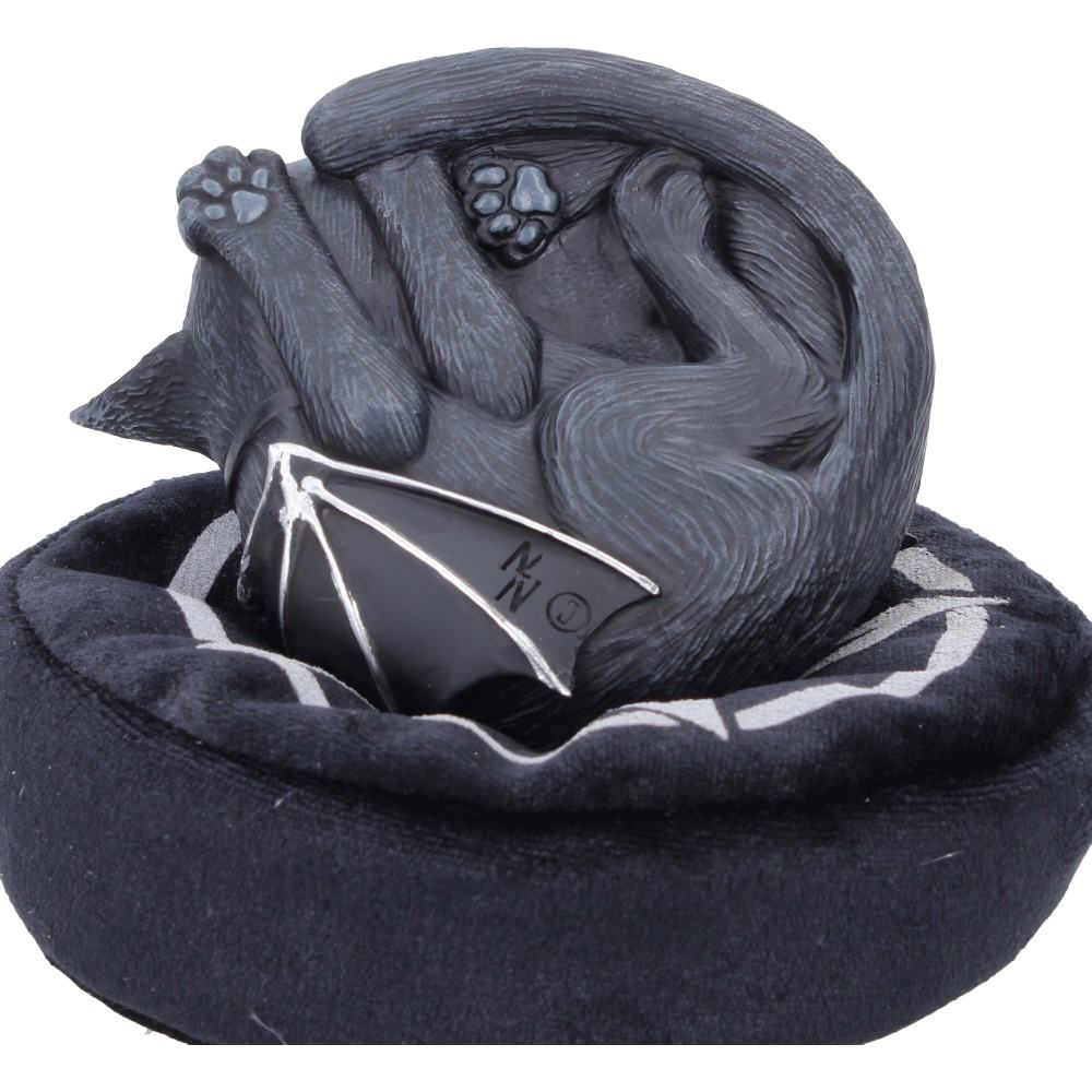 Malpuss Dreams