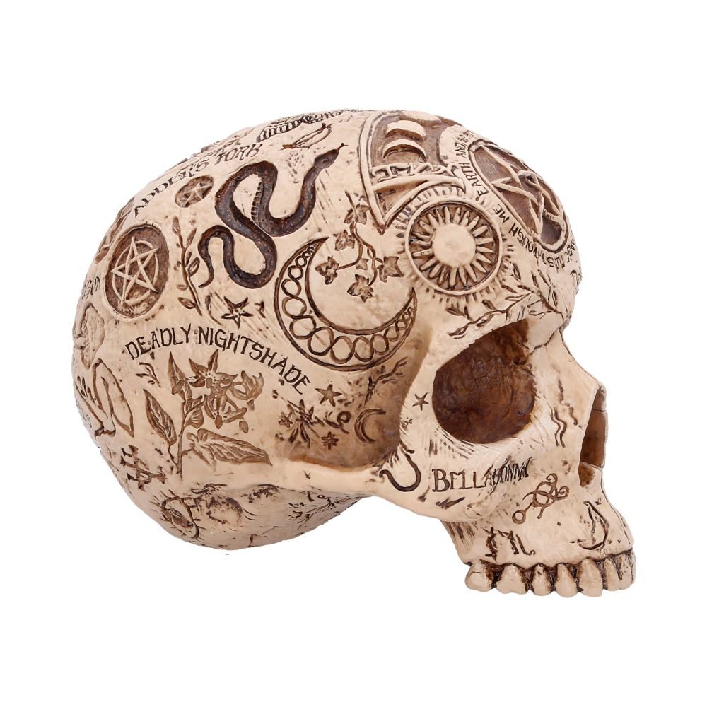 Apothecary Skull