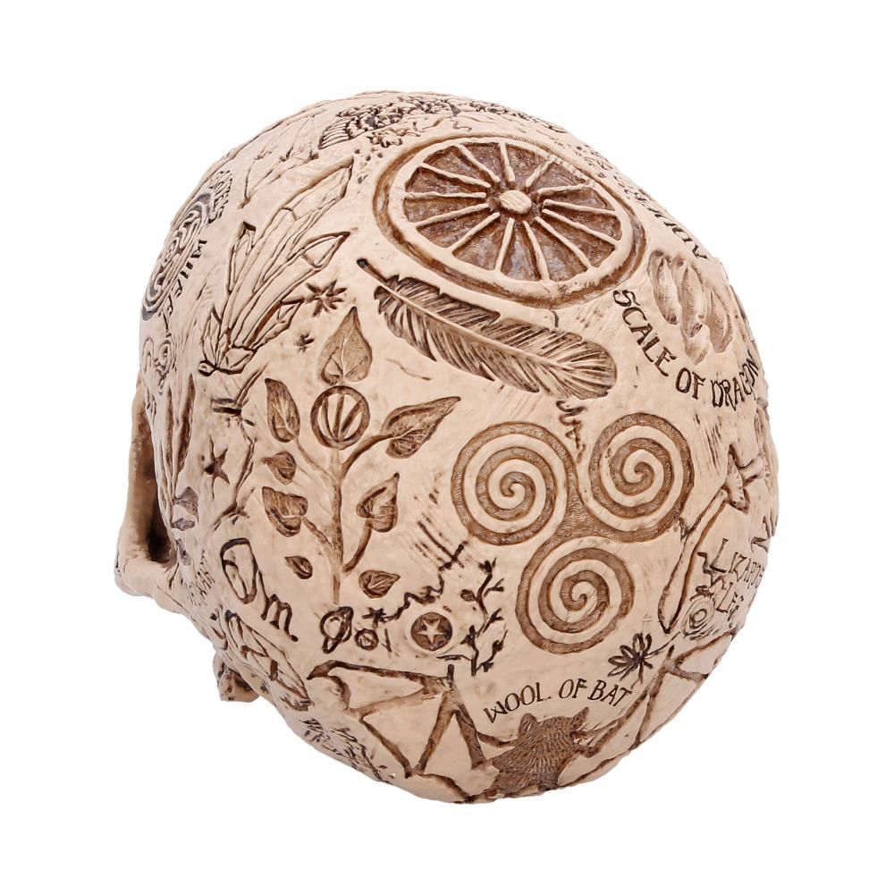 Apothecary Skull