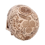 Apothecary Skull