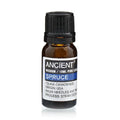 Spruce Essential Oil