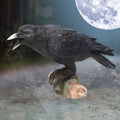 Raven's Call