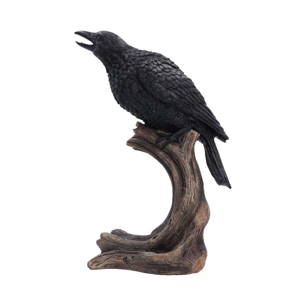 Raven’s Caw
