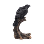 Raven’s Caw
