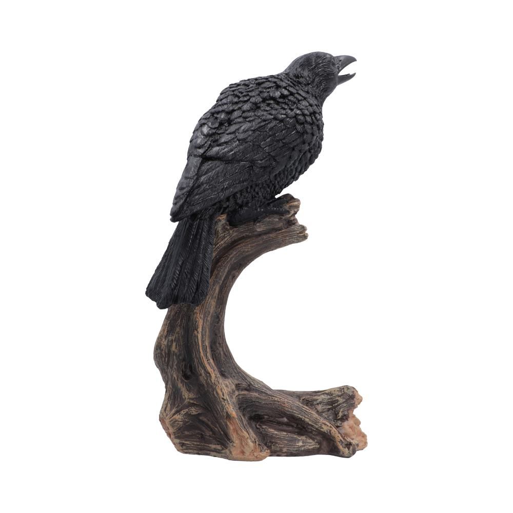Raven’s Caw