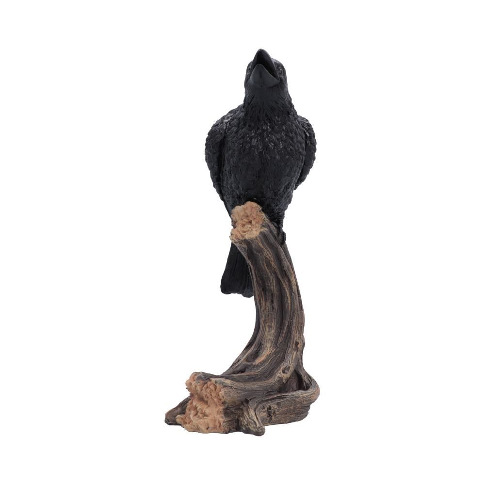 Raven’s Caw