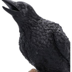 Raven’s Caw