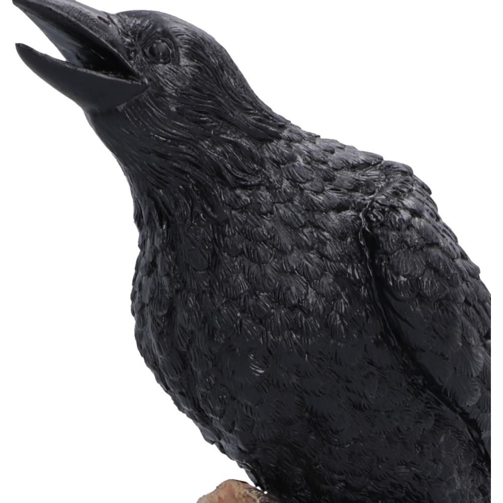 Raven’s Caw