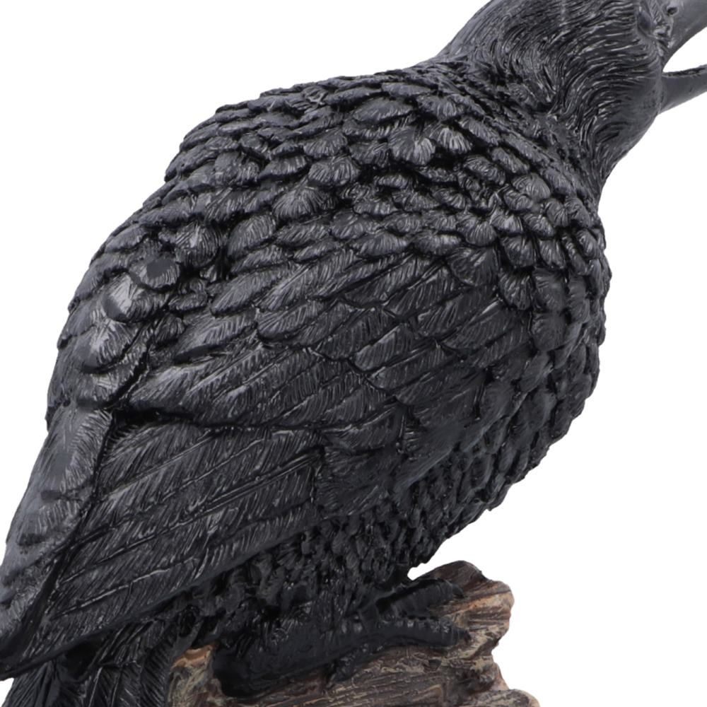 Raven’s Caw