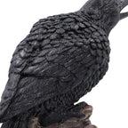 Raven’s Caw