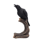 Raven’s Caw