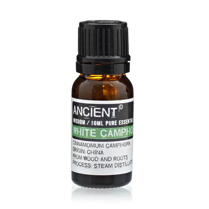 White Camphor Essential Oil