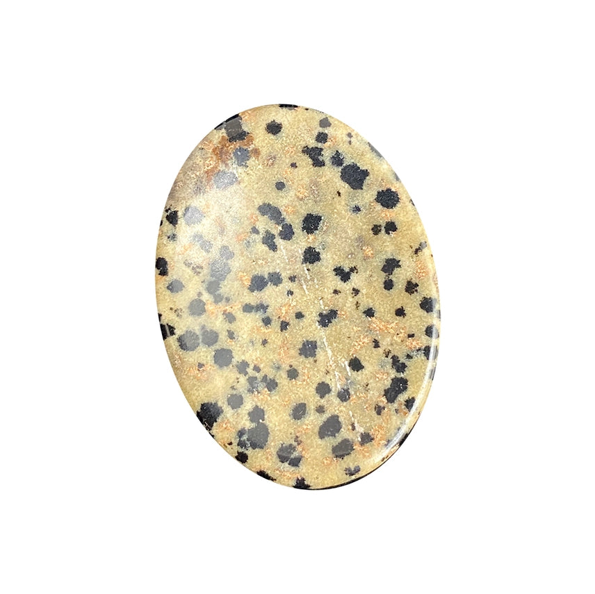 Dalmatian Jasper Thumb Stone